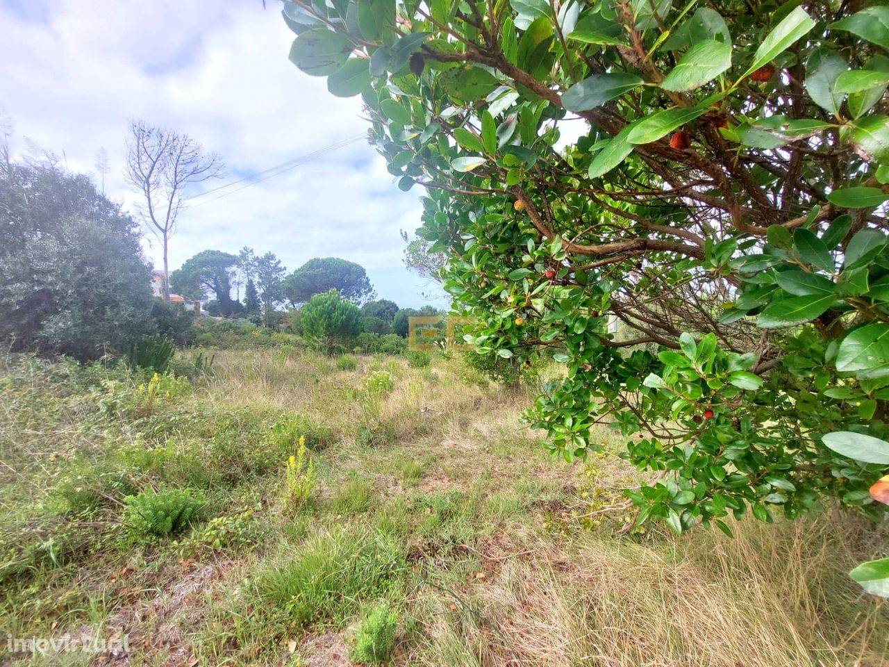 Terreno urbano, com vistas de mar- em Buarcos!