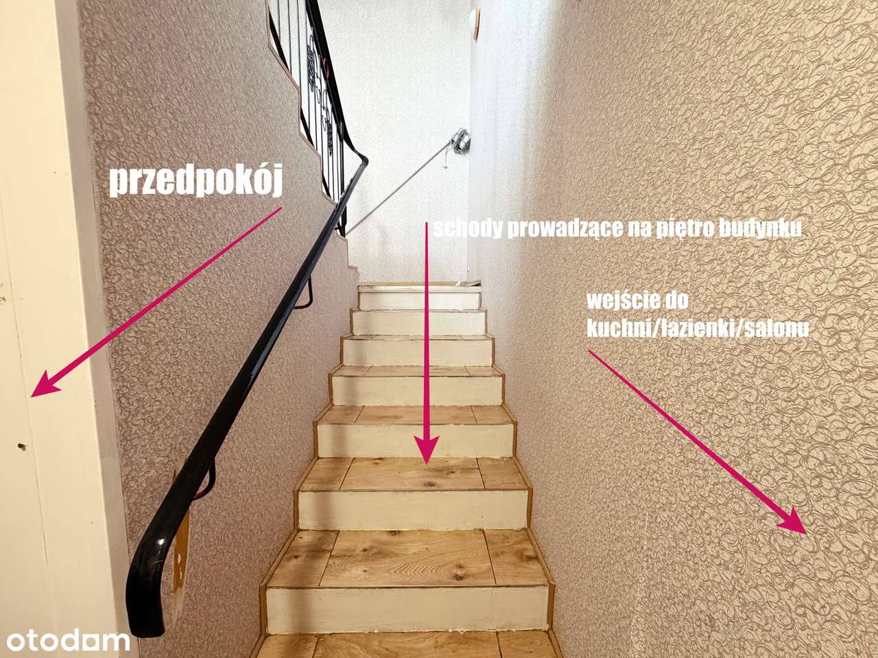 dom z ogromnym potencjałem | GRYFA POMORSKIEGO | 4 pokoje-7