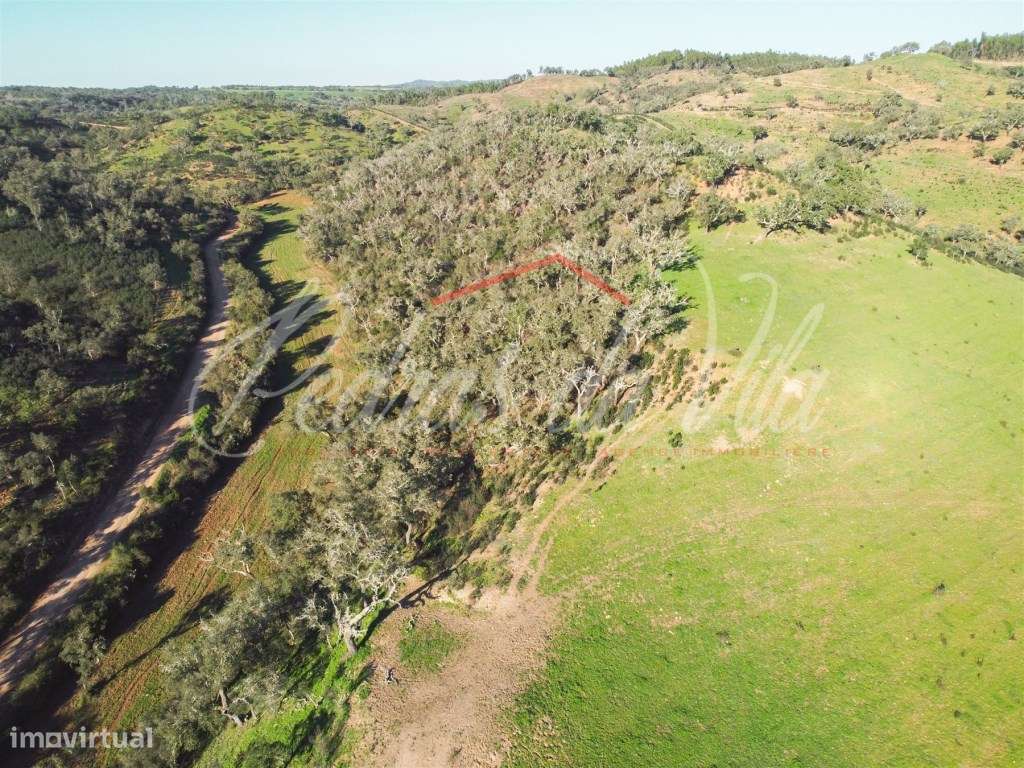 Monte Alentejano de 36ha com 3 ruinas - Pego das Pias - Odemira-14