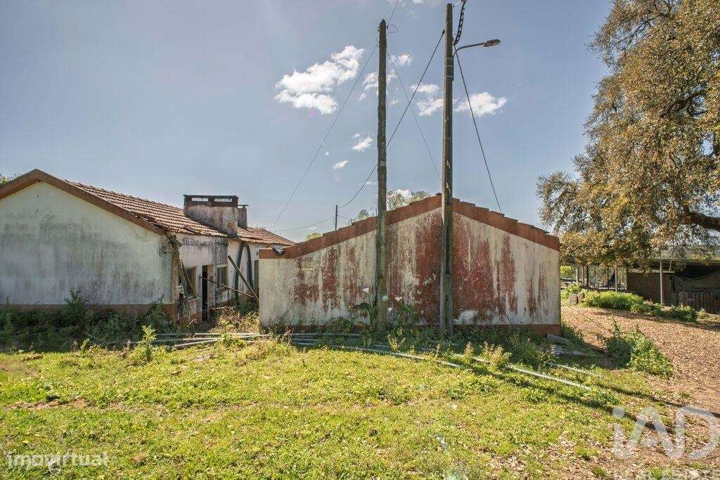 Terreno em Souto da Carpalhosa e Ortigosa de 161861,00 m2 - Grande imagem: 5/17