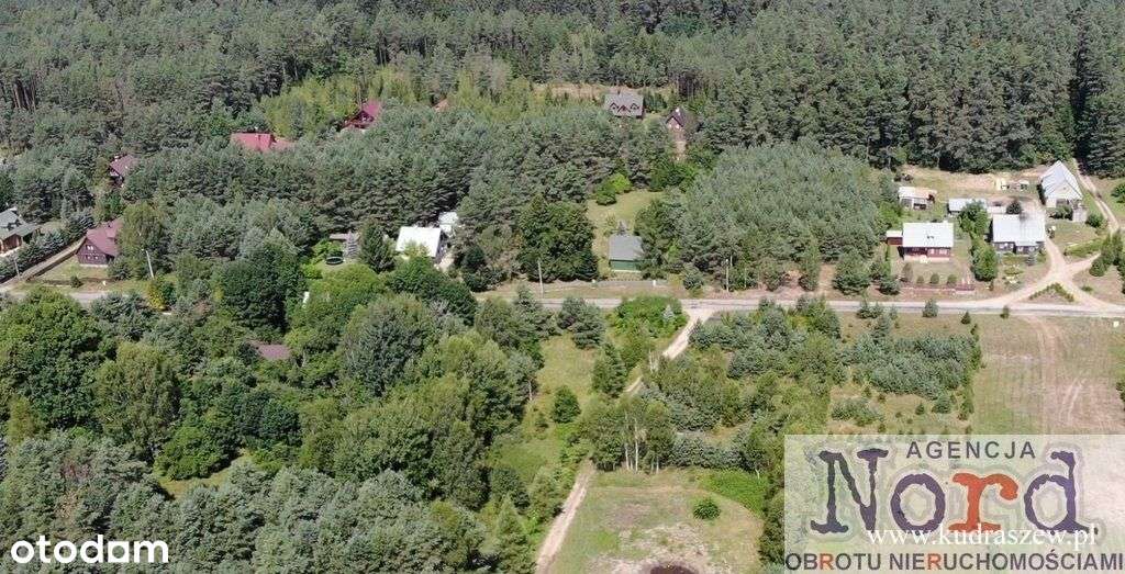 Działka przy ścianie lasu, Gorczyca, Płaska - Pełny obrazek: 5/12