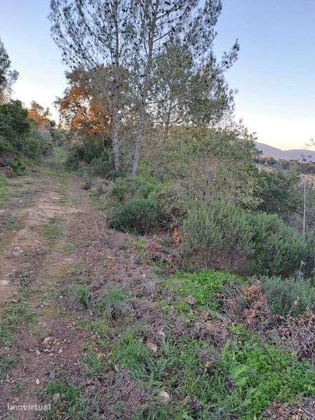 Terrenos Abrigada - Grande imagem: 5/8