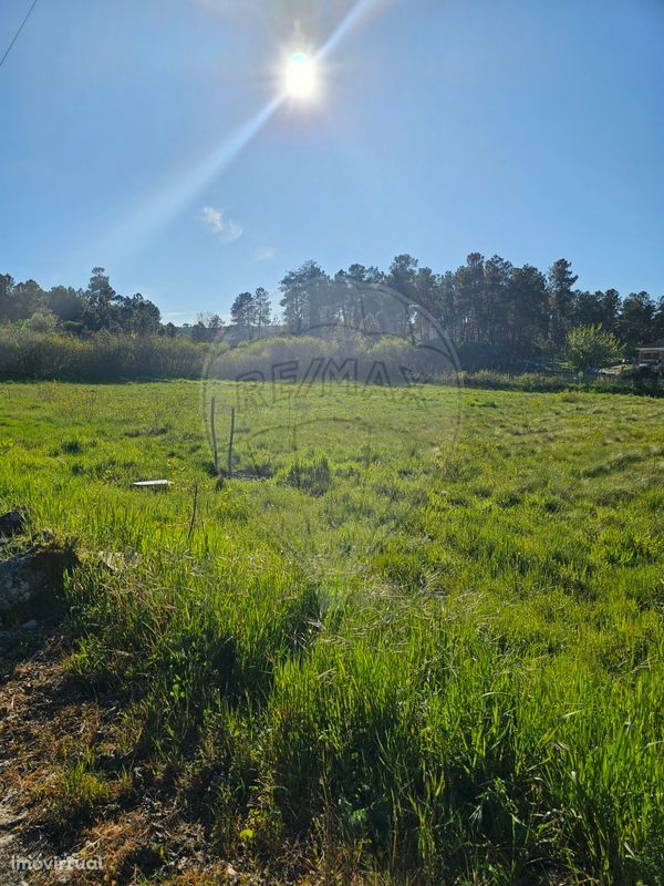 Terreno  para venda