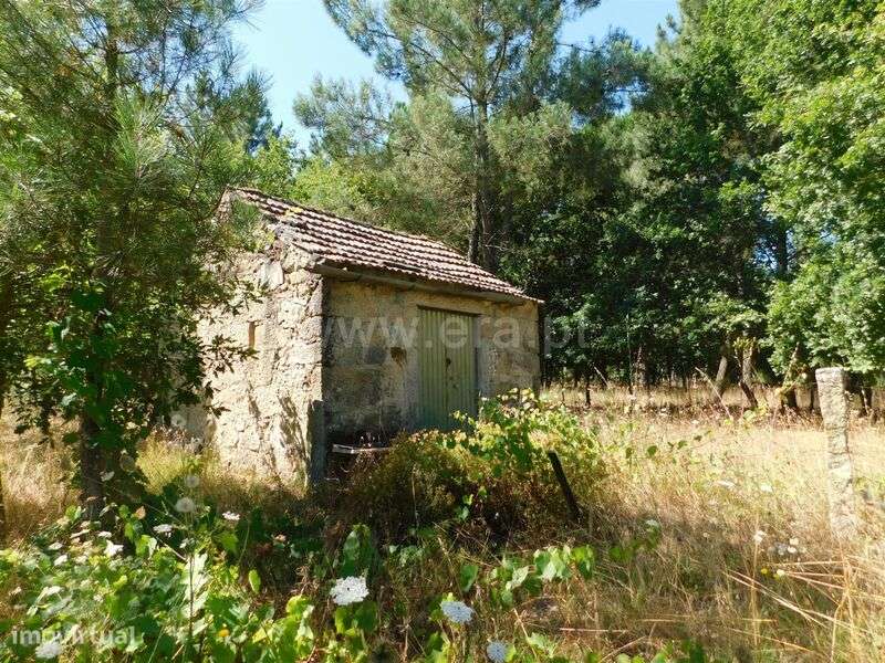 Terreno / Seia, Pinhanços - Grande imagem: 1/6