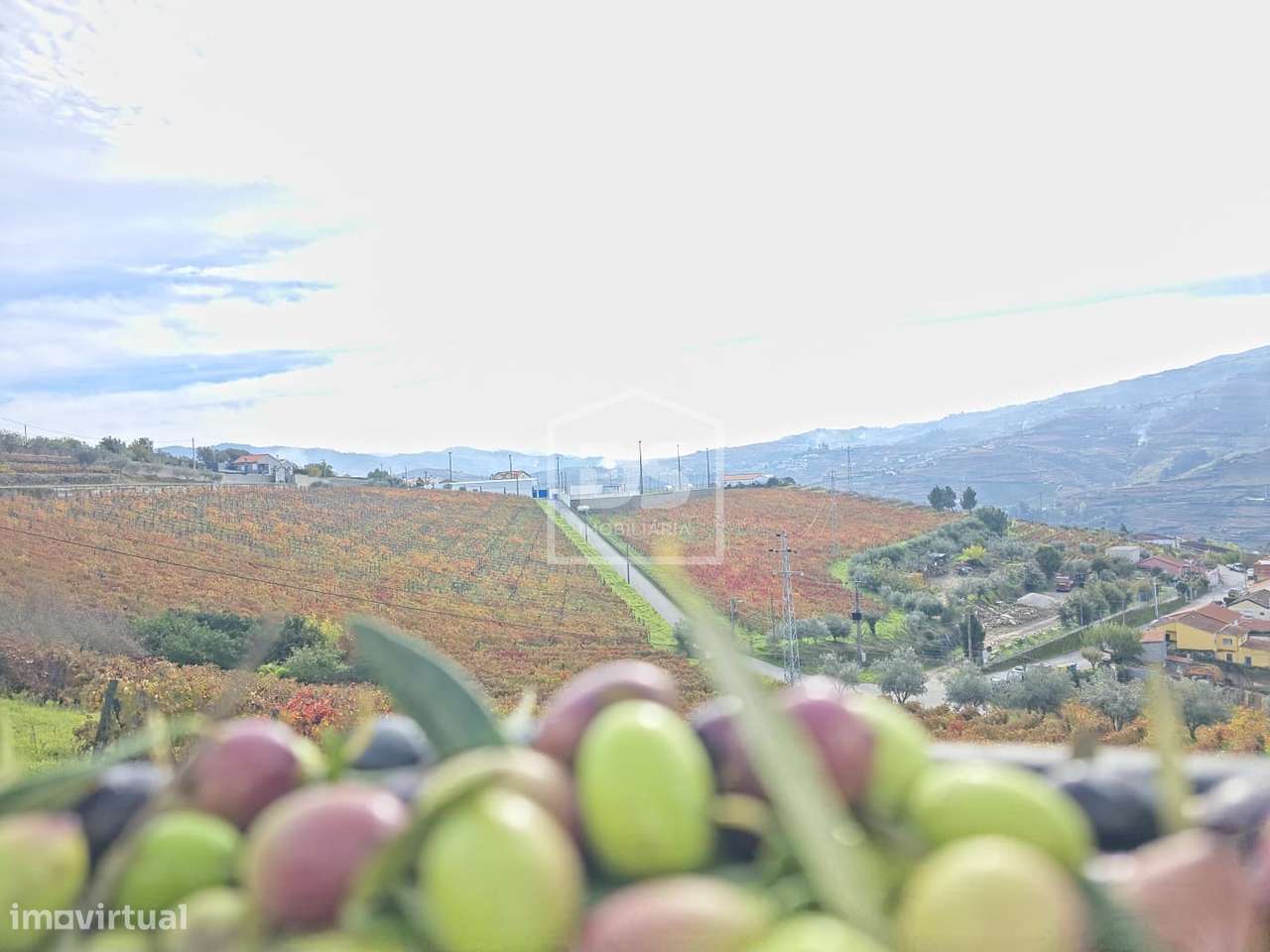 Quinta T4 Venda em Fontelas,Peso da Régua-45