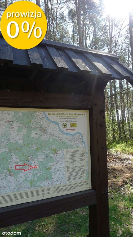 siedlisko, prawie 1 ha ziemi, w pięknym otoczeniu!-10