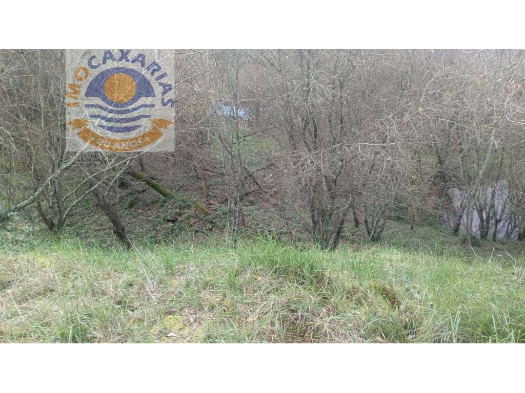 Terreno soalheiro e plano a 2 min de Caxarias e 10 min de Ourém - Grande imagem: 2/3