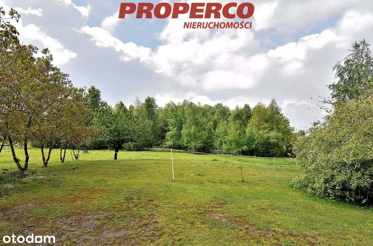 Działka 3029m2 Mniów, 45x67(m), las obok - Pełny obrazek: 4/8