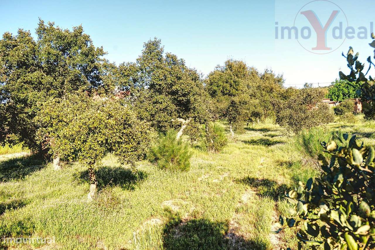 Quinta em Melides-22