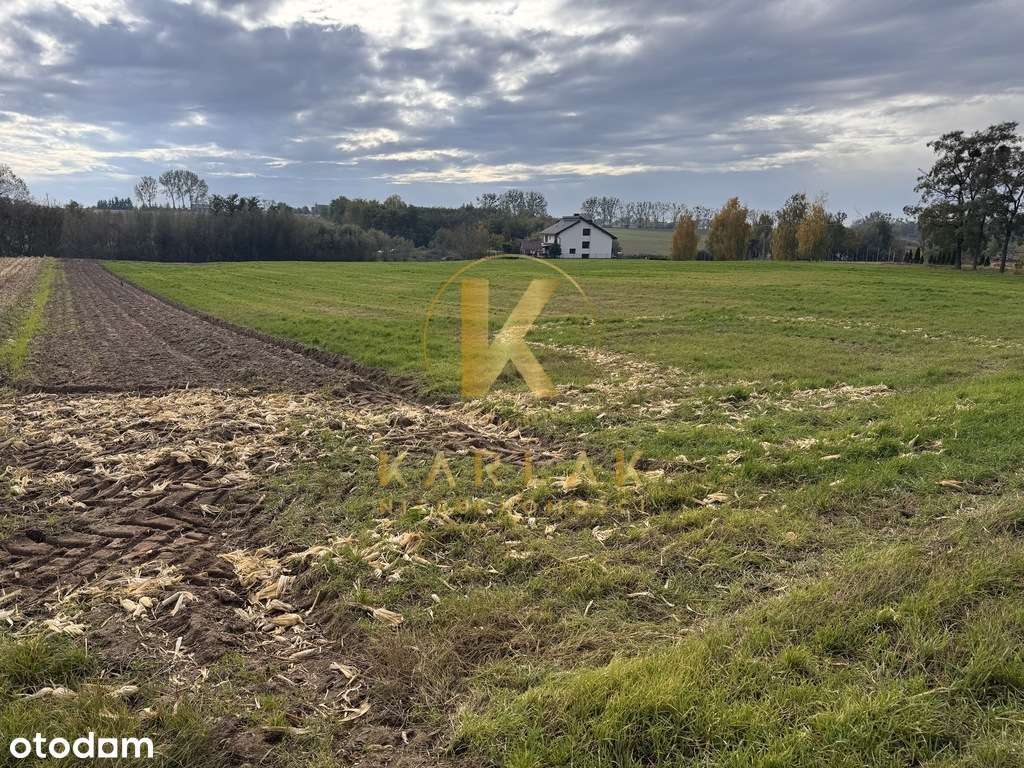 Działki budowlane w Międzychodzie koło Śremu z WZ-4