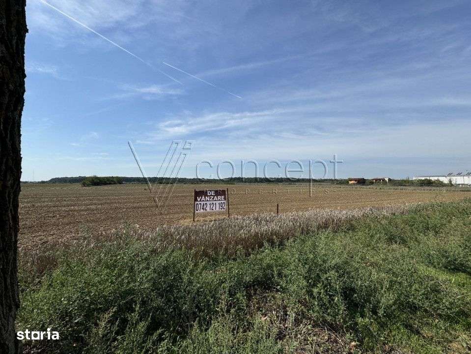 0% comision Teren intravilan – Ciolpani – Izvorani | 1.300 mp-8