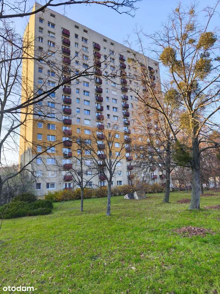 Mieszkanie na sprzedaż Winogrady-1