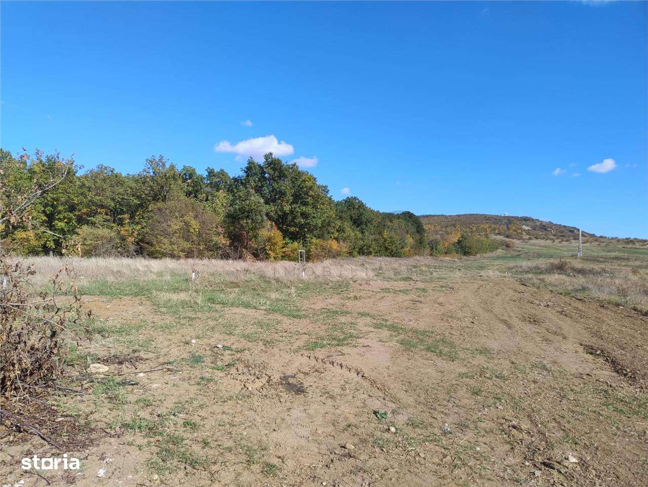 RECO Teren intravilan Betfia - Imagine principală: 2/4