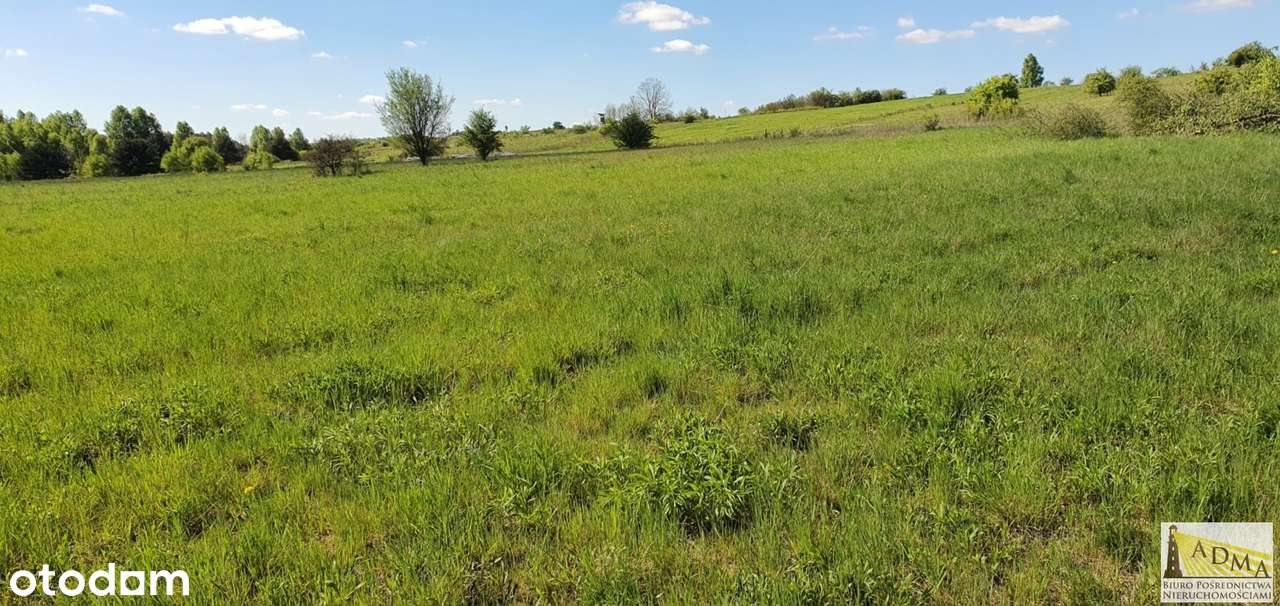 3 działki budowlane Toporowice gm. Mierzęcice-3