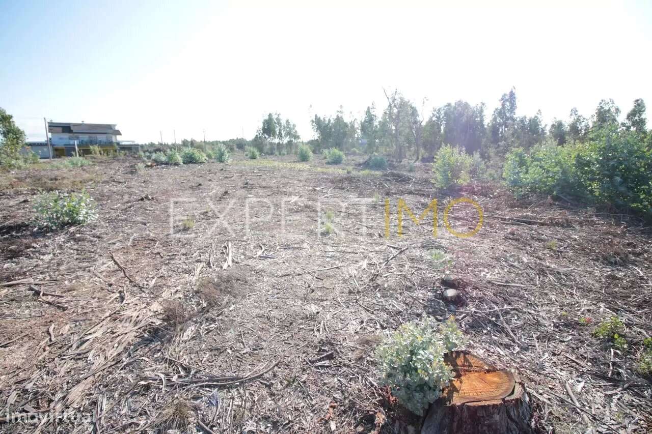 Terreno em Leiria com 75400 m2 para construção - Grande imagem: 5/5