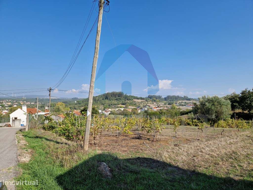 Terreno com Viabilidade de Construção - Pombal-2