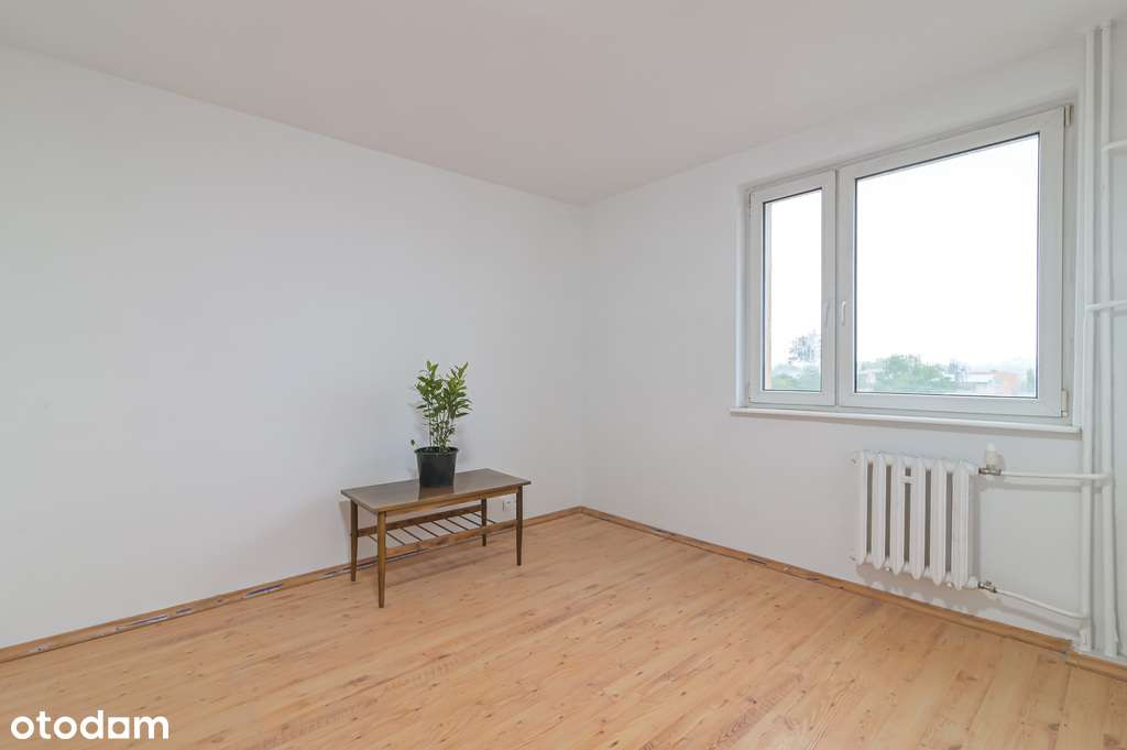 Jeśli w twoich żyłach płynie królewska krew ...-3