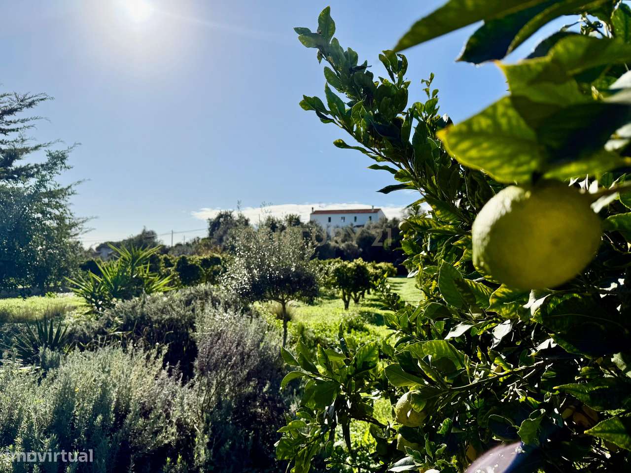 O seu refúgio de sonho no coração do Algarve, a poucos minutos da Prai-40