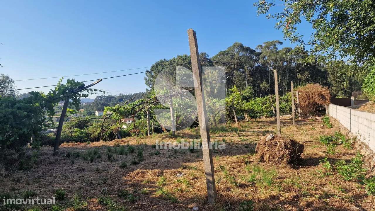 Terreno - potencial de investimento - Astromil - Paredes-12