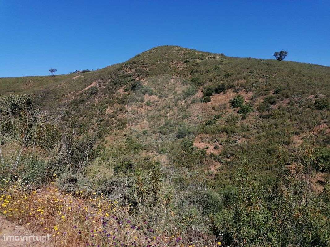 Terreno  para venda - Grande imagem: 2/6