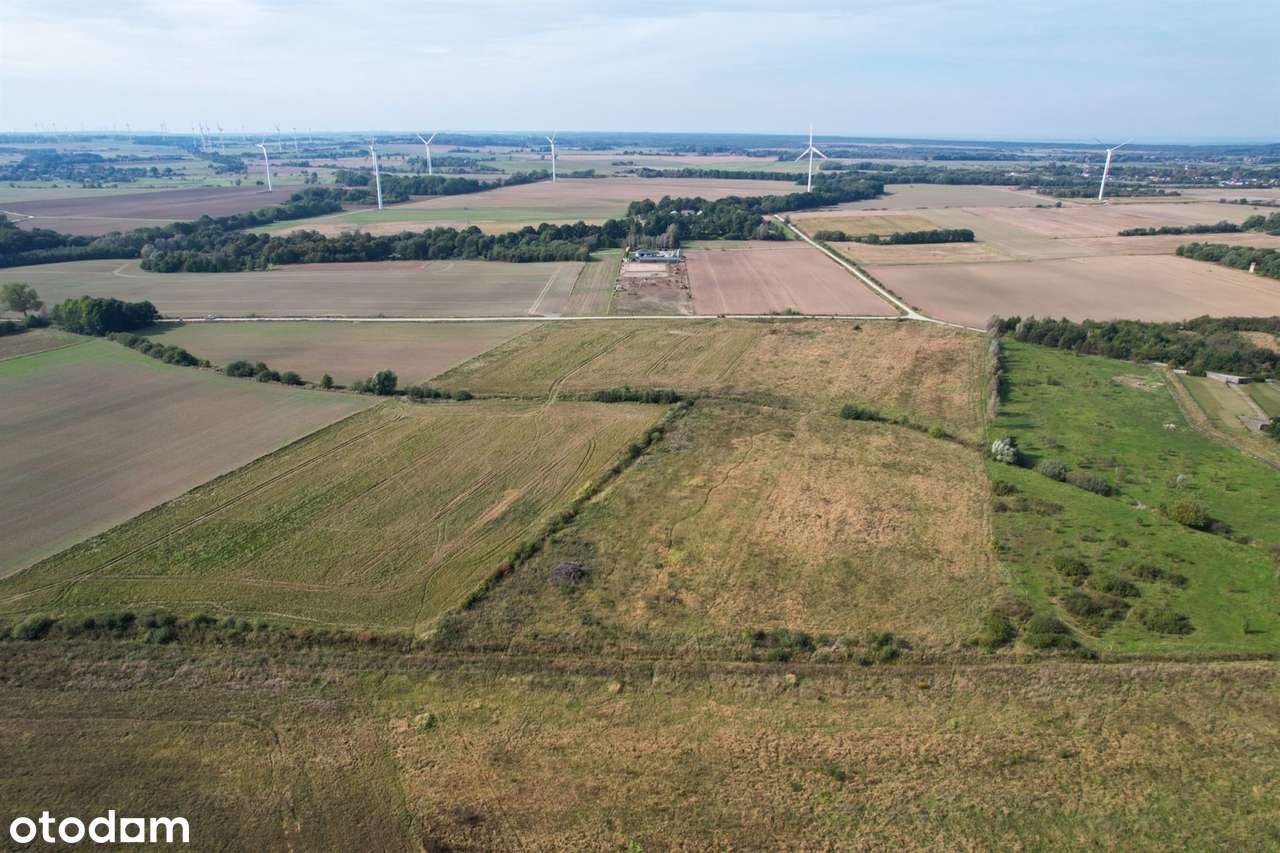 Duninówko - działki rolne - Pełny obrazek: 4/5