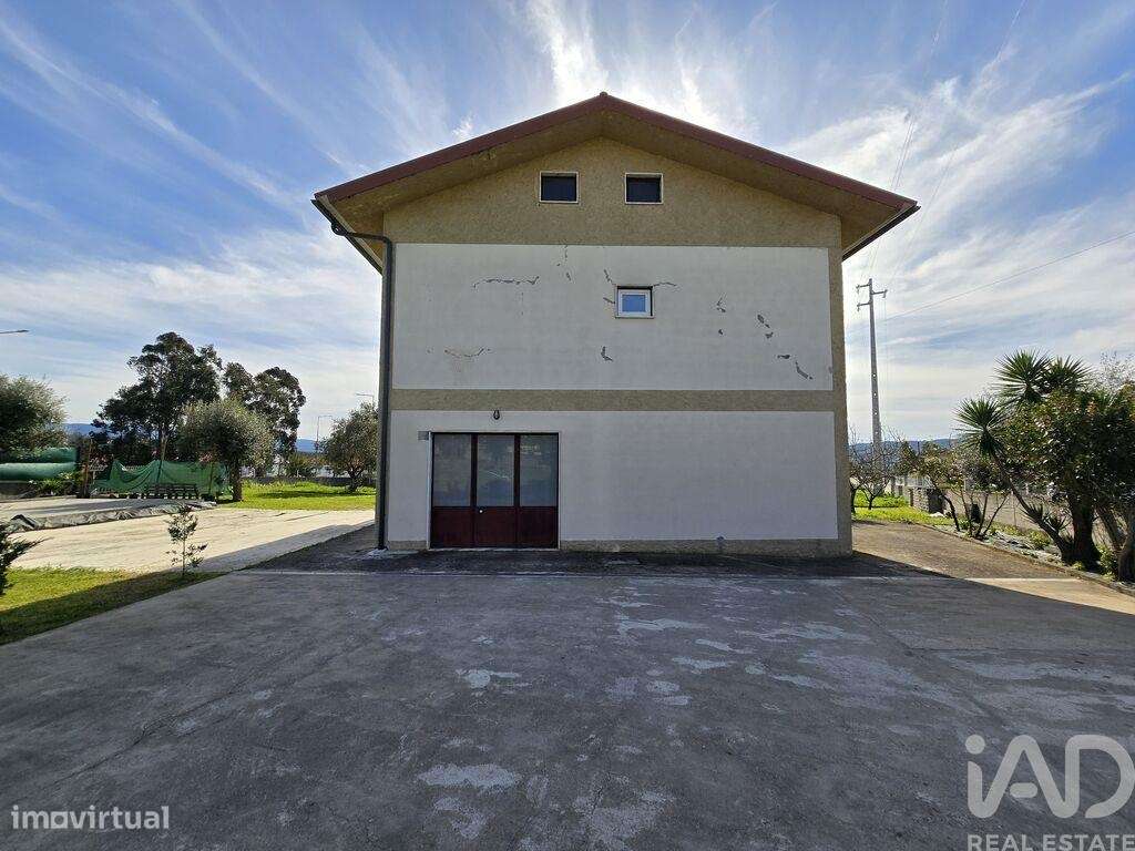 Casa / Villa T3 em São Miguel de Poiares de 127 m2 - Grande imagem: 4/40