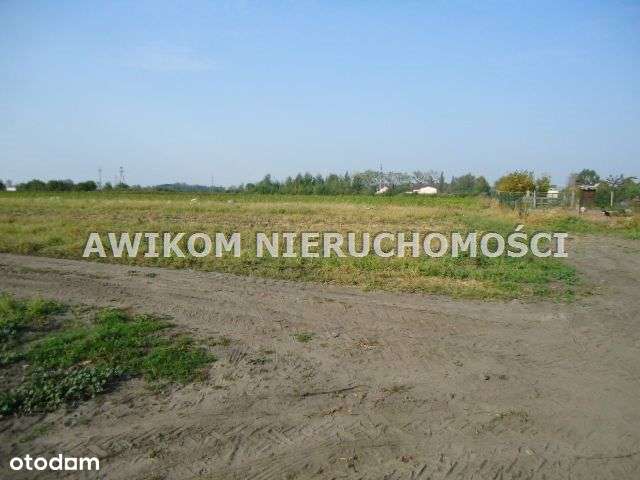 Działka, 90 000 m², Grodzisk Mazowiecki - Pełny obrazek: 4/5