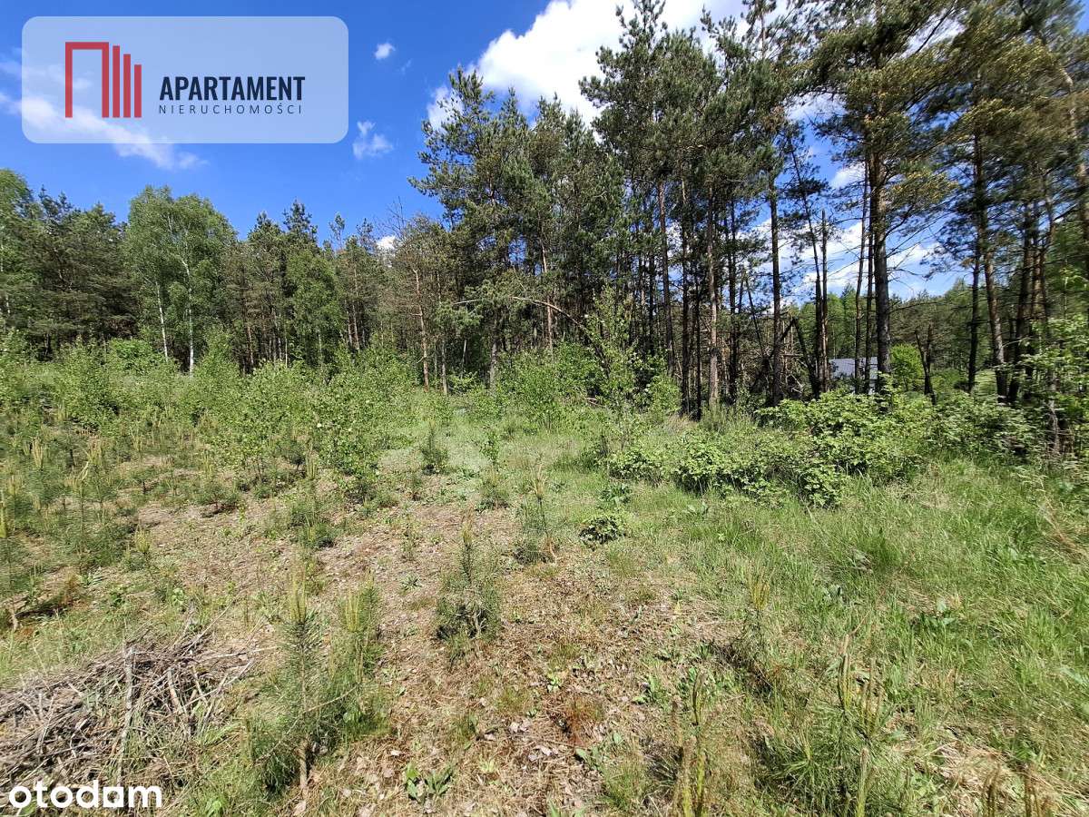 Piękna działka na Kaszubach z warunkami zabudowy - Pełny obrazek: 4/11