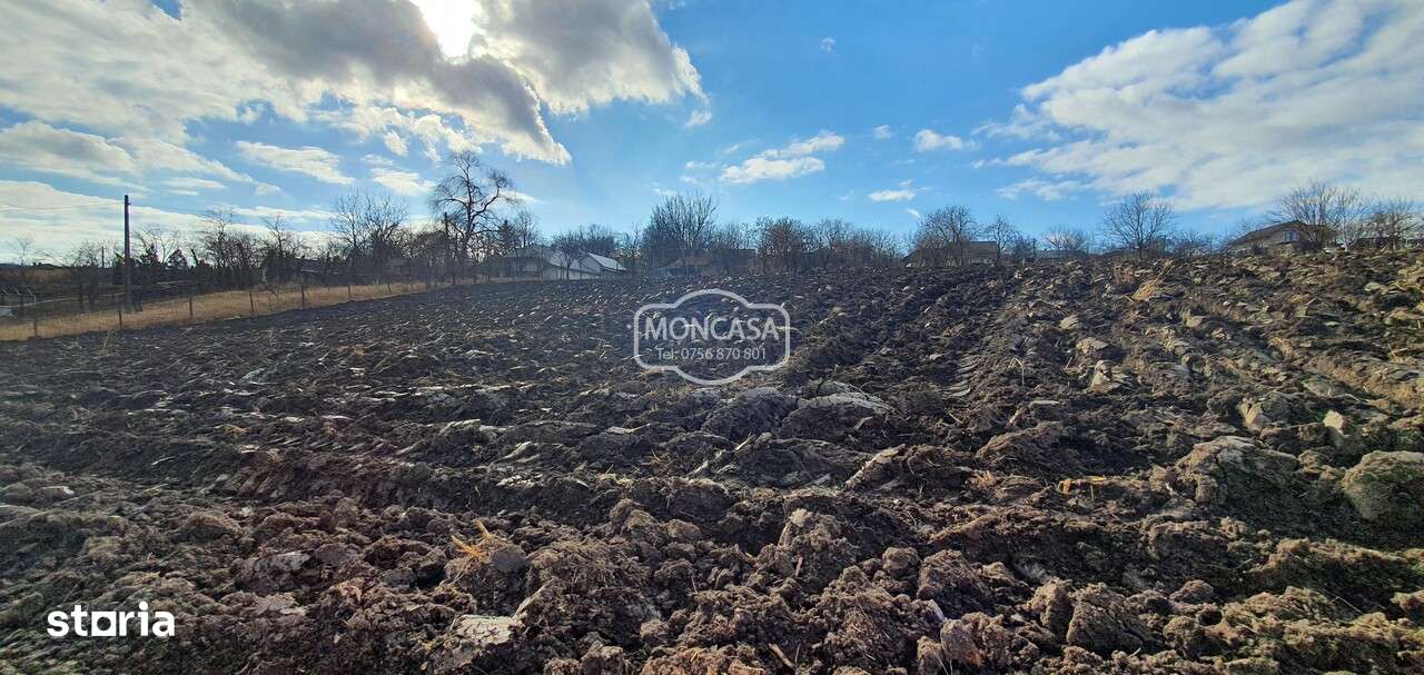 Teren intravilan in Manastirea Doamnei, S- 1300 mp - Imagine principală: 4/6