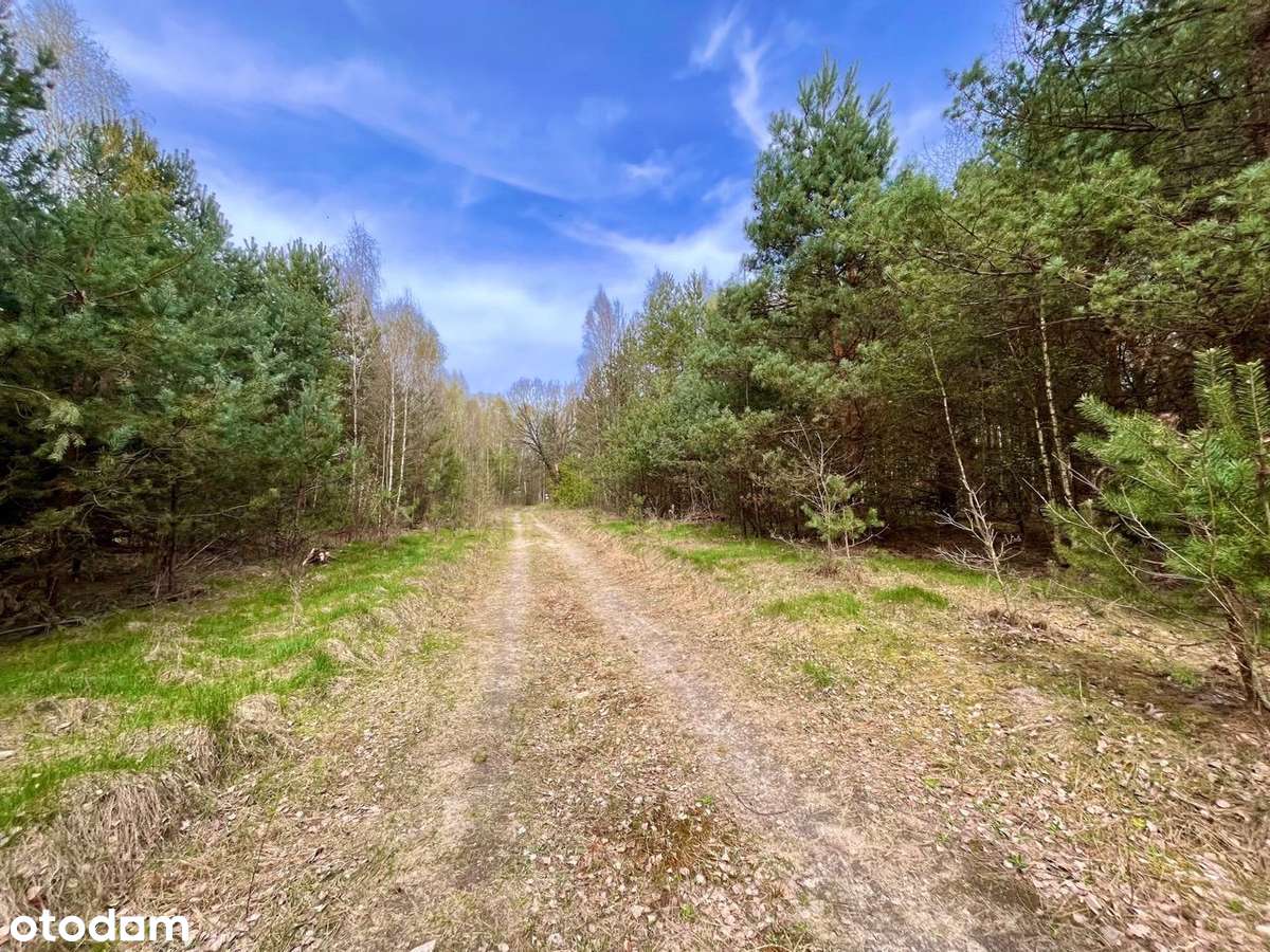 Działka budowlano-rolna, siedliskowa (16517m2) - Pełny obrazek: 1/7