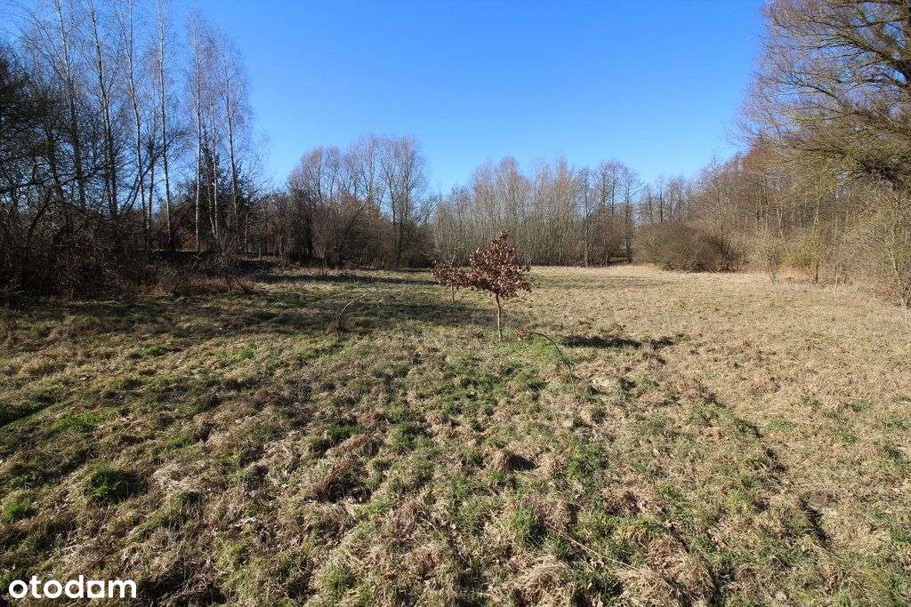 Działka 6134m2, z domem do remontu, Rydzewo - Pełny obrazek: 4/20