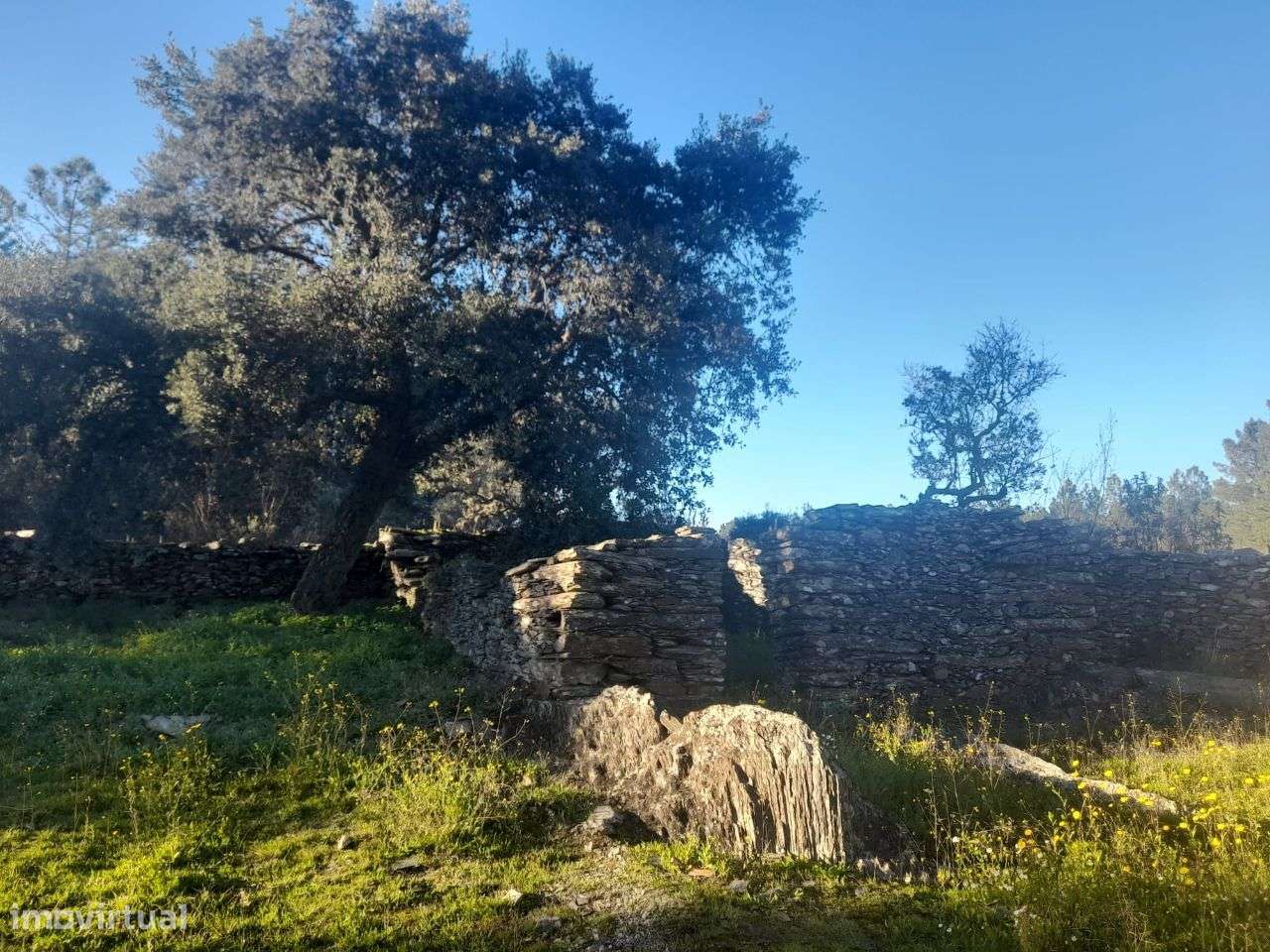 Quintinha - Grande imagem: 3/6