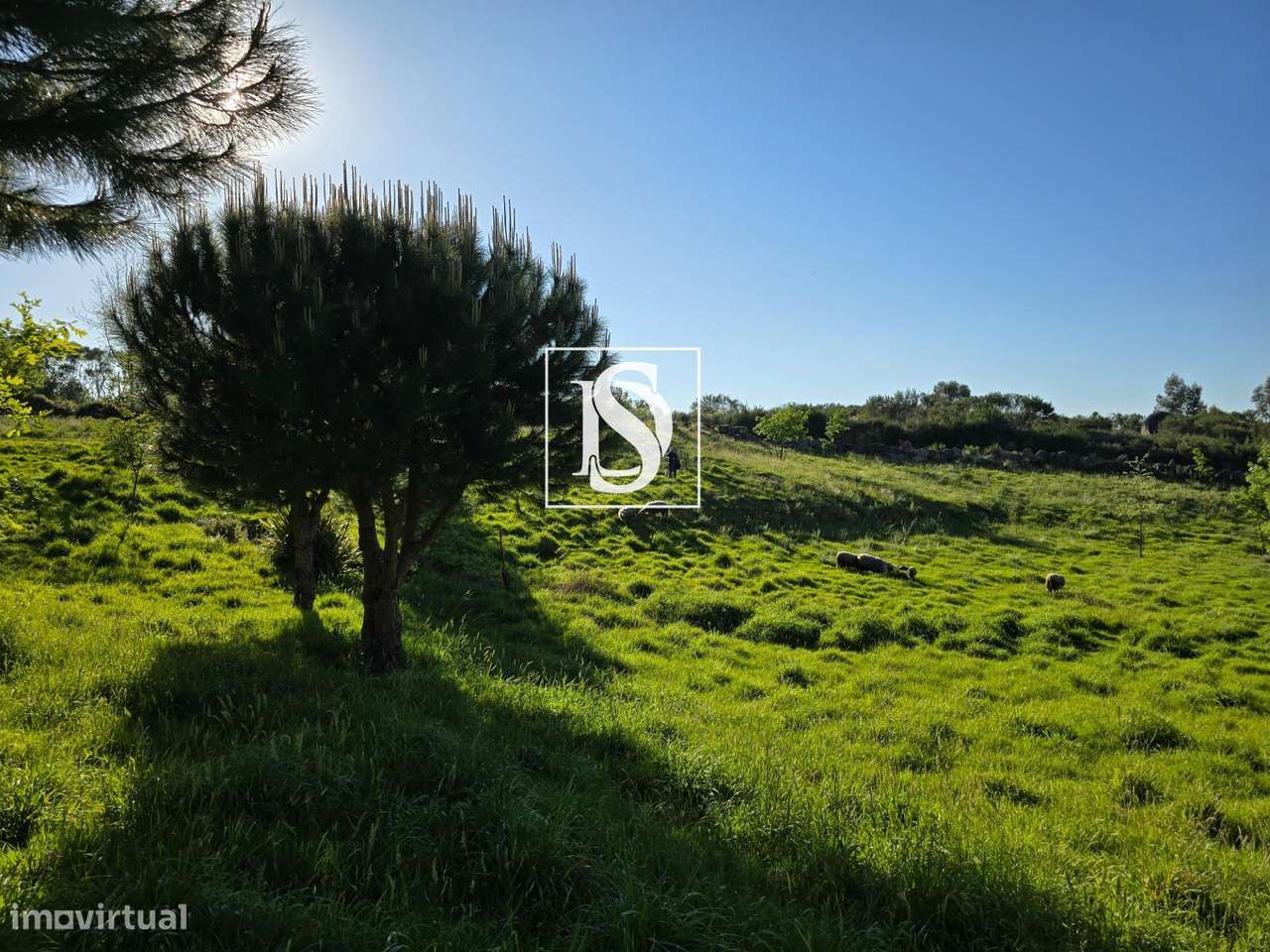 MORADIA T1 RENOVADA COM 10.000 m² – BUSTELO, AMARANTE-26