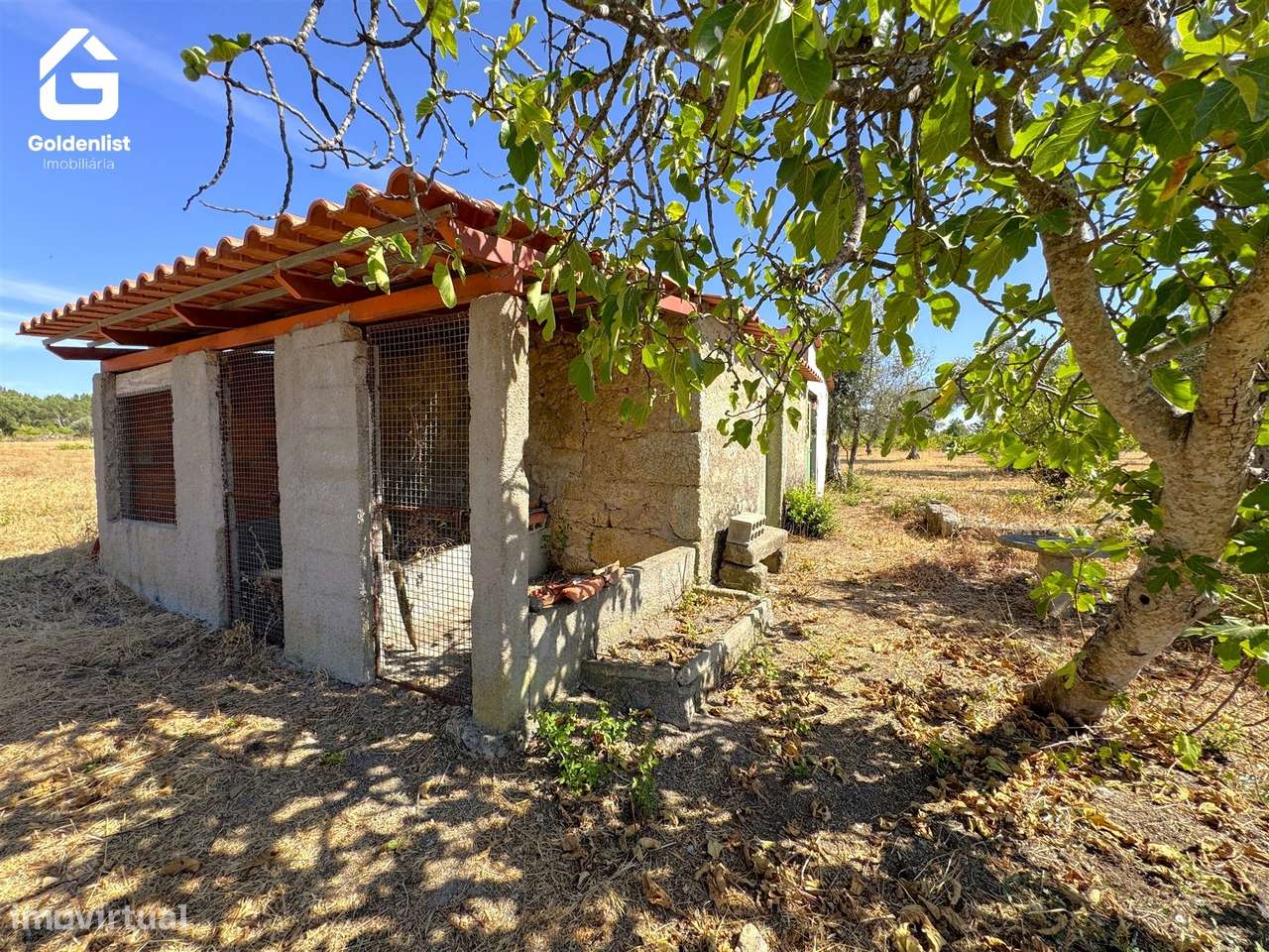 Quinta  Venda em Lardosa,Castelo Branco-33