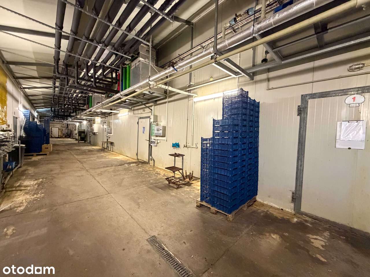 Nowoczesna i wyposażona pieczarkarnia z częścią magazynową – Janowo,-12