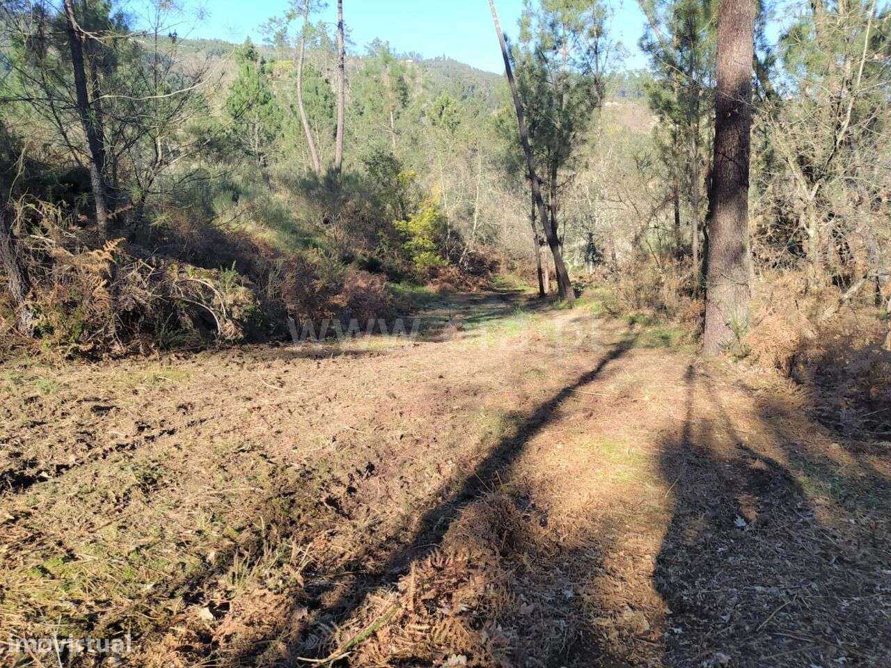 Terreno / Marco de Canaveses, Várzea, Aliviada e Folhada - Grande imagem: 5/10