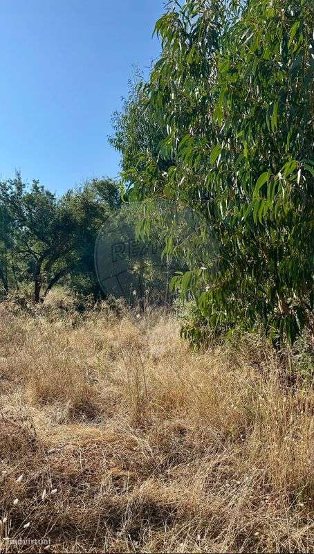 Terreno  para venda - Grande imagem: 4/4