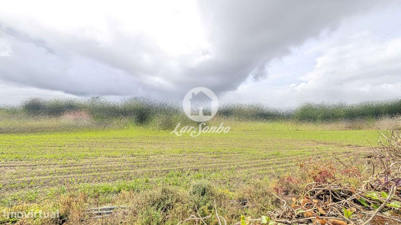 Terreno à Venda na Junqueira - Grande imagem: 3/18