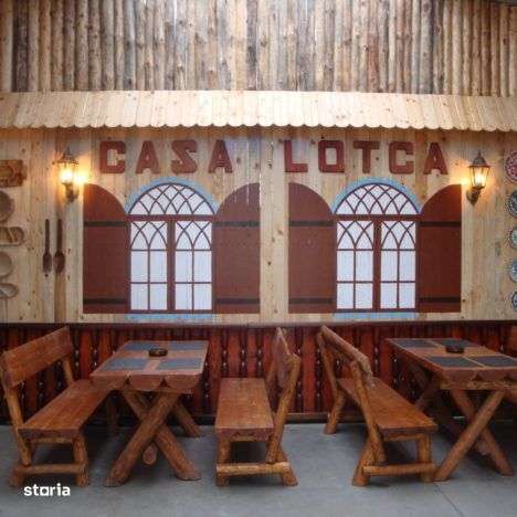 Pensiunea Lotca o pensiune de vis!-2