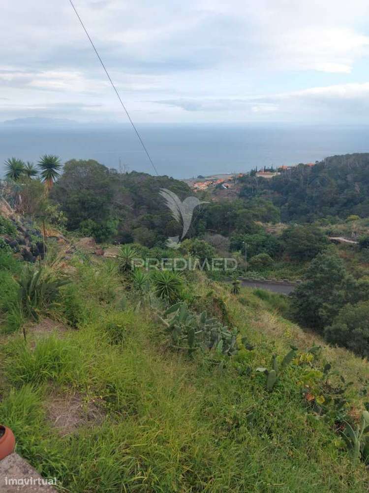 Terreno rústico em  Água de  pena . - Grande imagem: 5/7