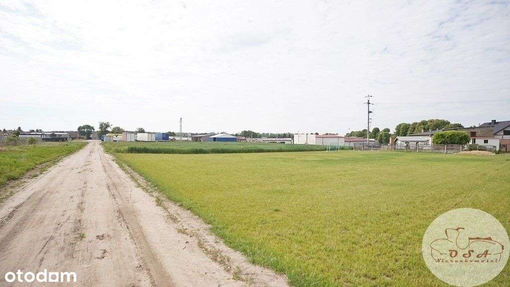 Działka z Mpzp 0,8 ha Dębienko k. Stęszewa-9