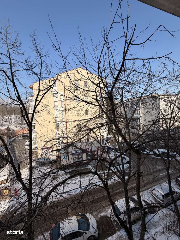 Apartament 2 camere decomandat Grădinari Tătărași Ciurchi Iulius Mall-12