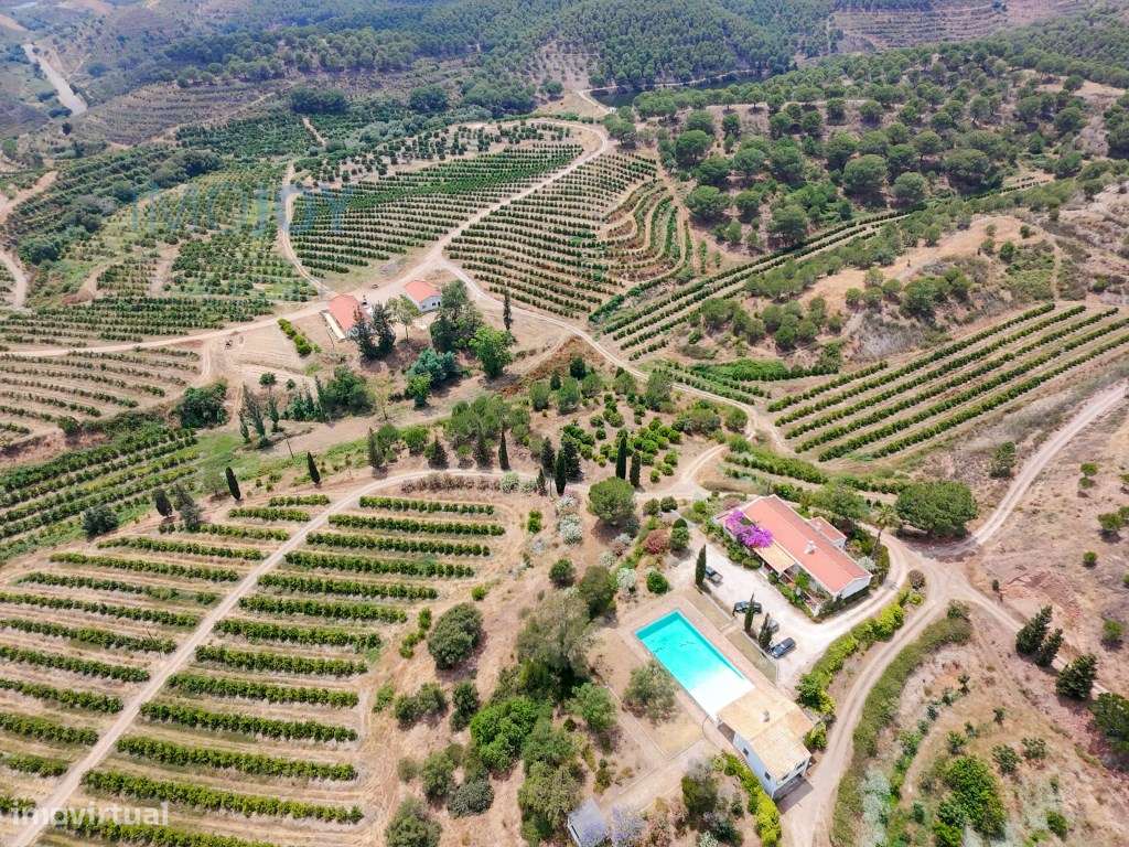 Extraordinária Herdade da Dobra com 218ha: Um Paraíso de Oportunida... - Grande imagem: 2/60