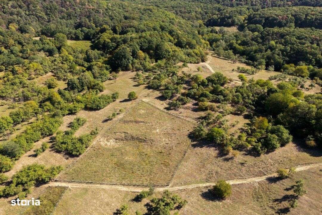 Terenuri 12.225 mp - Ramnicu Valcea, Aranghel - Imagine principală: 3/14