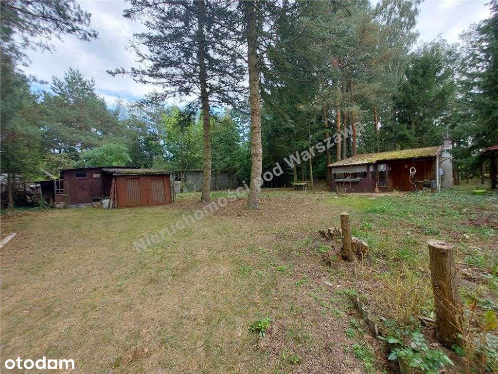 Cisza, Zieleń, Rzeka I Ona - Działka W Łosiu.-1