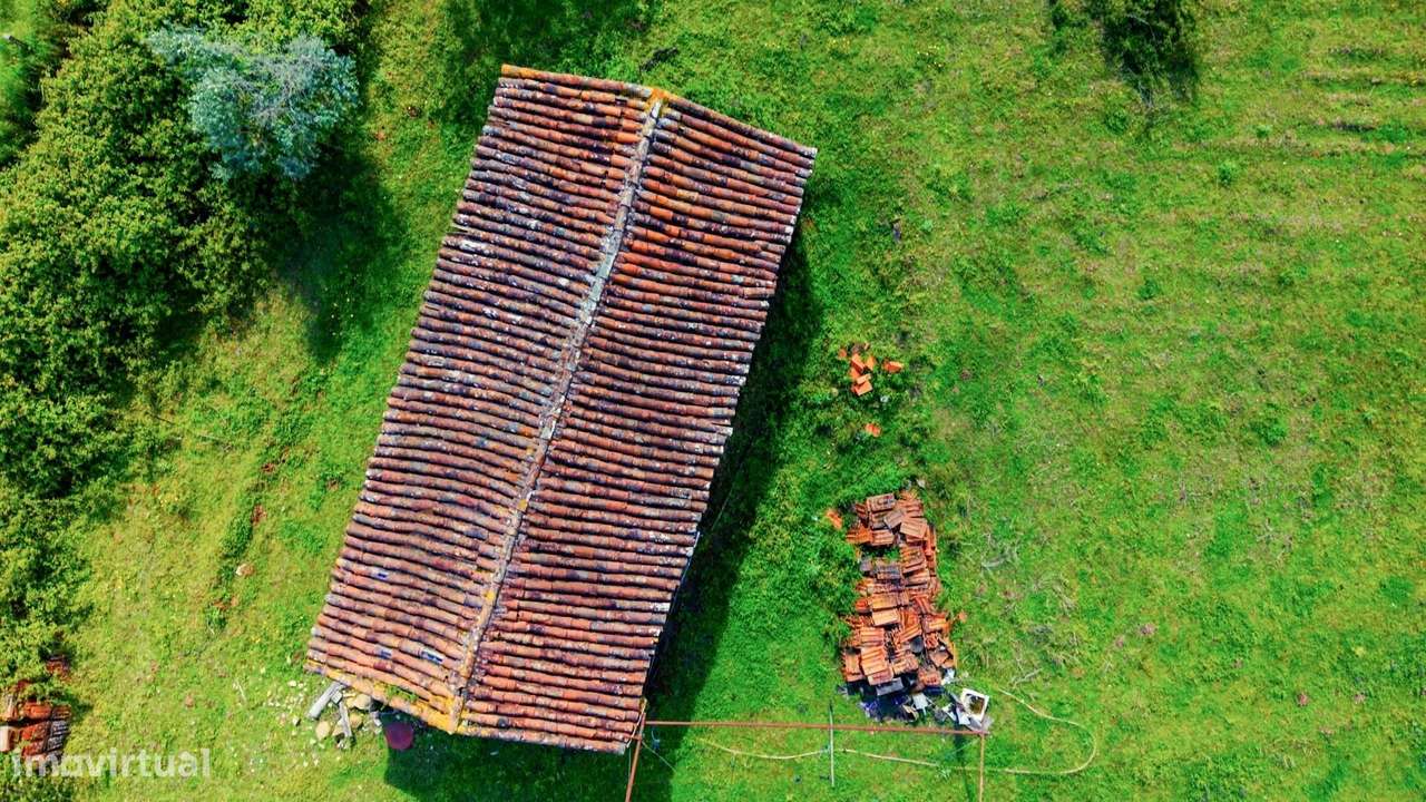 Venda Conjunta de 6 Terrenos Rústicos em Belver, Gavião – 24.360 m2 de - Grande imagem: 5/14