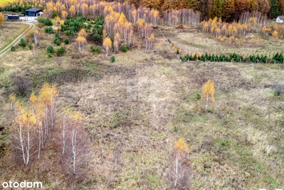 Działka budowlana | możliwość podziału | Borcz - Pełny obrazek: 4/14