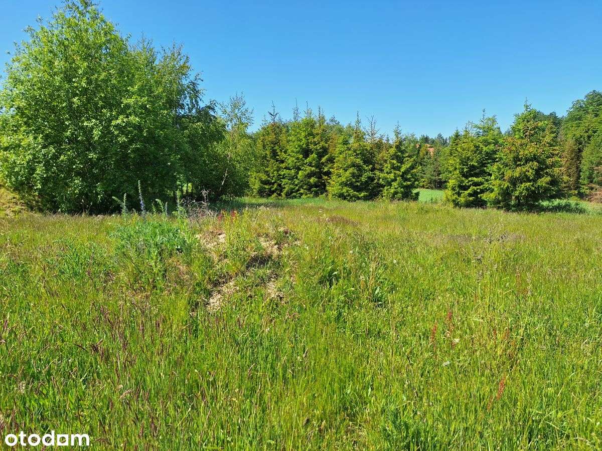 Działka budowlana w zaciszu Małkowa - Pełny obrazek: 5/10