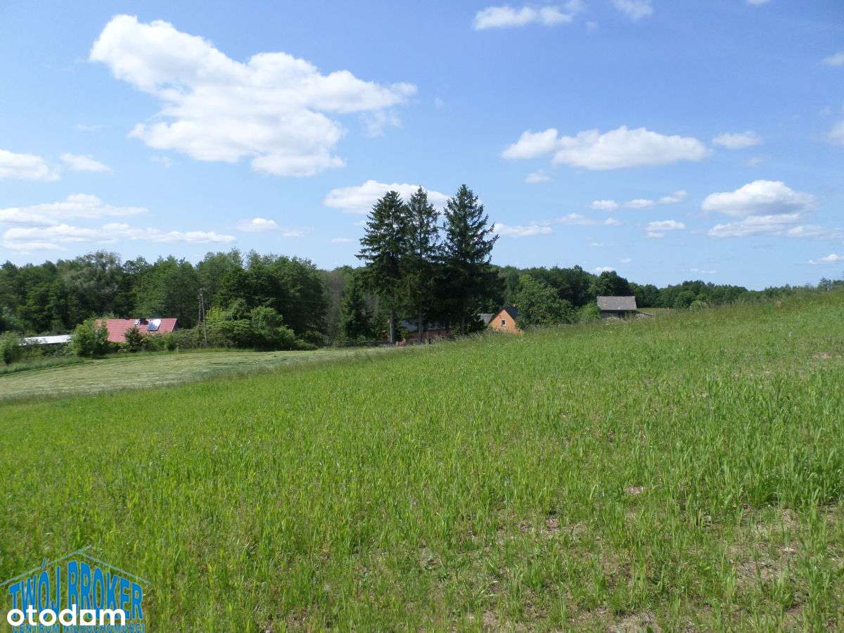 działka rezydencyjna z linią brzegową na-8