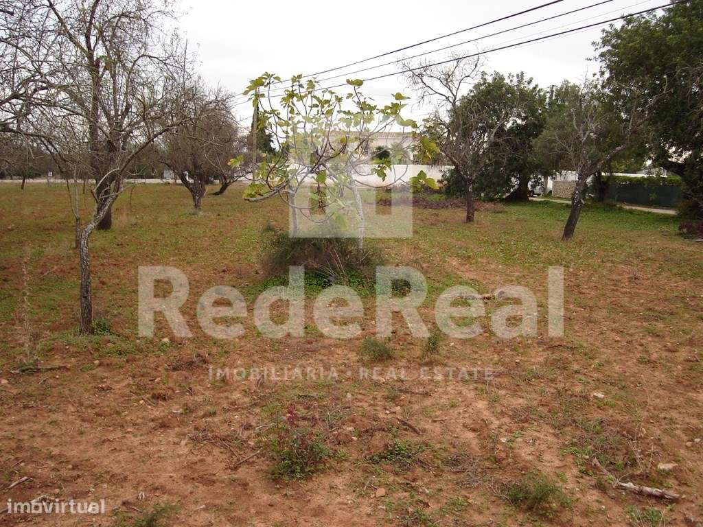 TERRENO RÚSTICO PARA VENDA, LOULÉ, ALGARVE - Grande imagem: 4/6